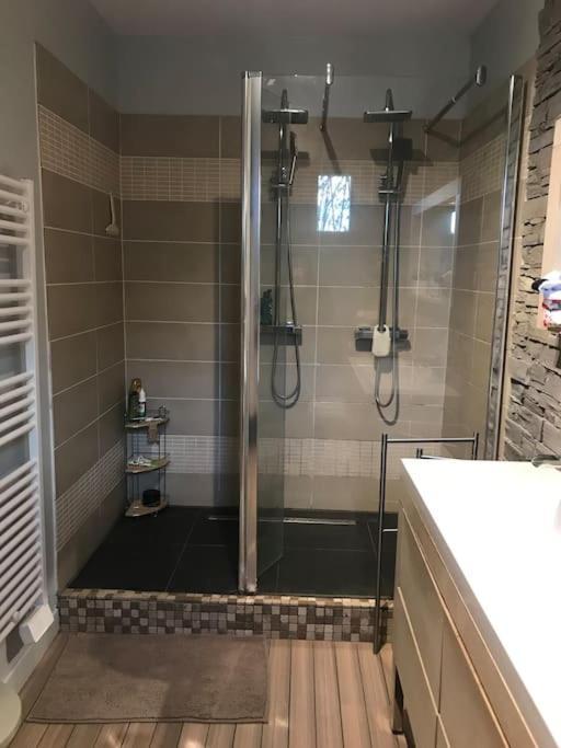 Chez-Sixtine Apartment Albon Ngoại thất bức ảnh